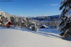 DSC_1417.jpg